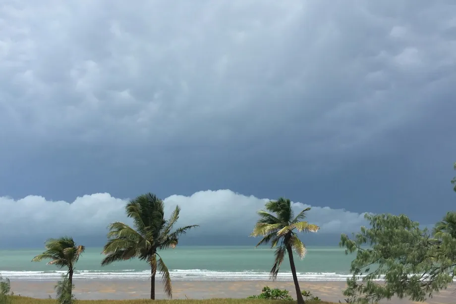 Beach seen through palm trees as a band of rain clouds rolls in over the sea